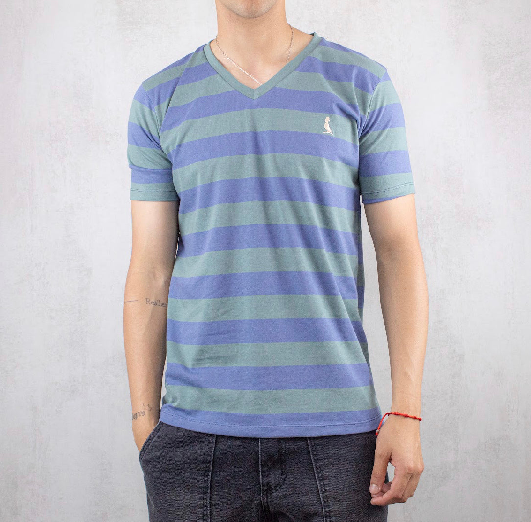REMERA A RAYAS CUELLO V
