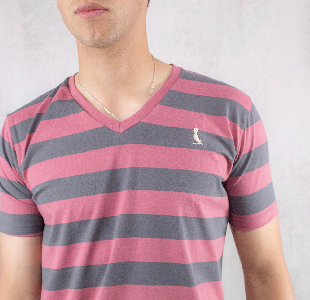 REMERA A RAYAS CUELLO V.