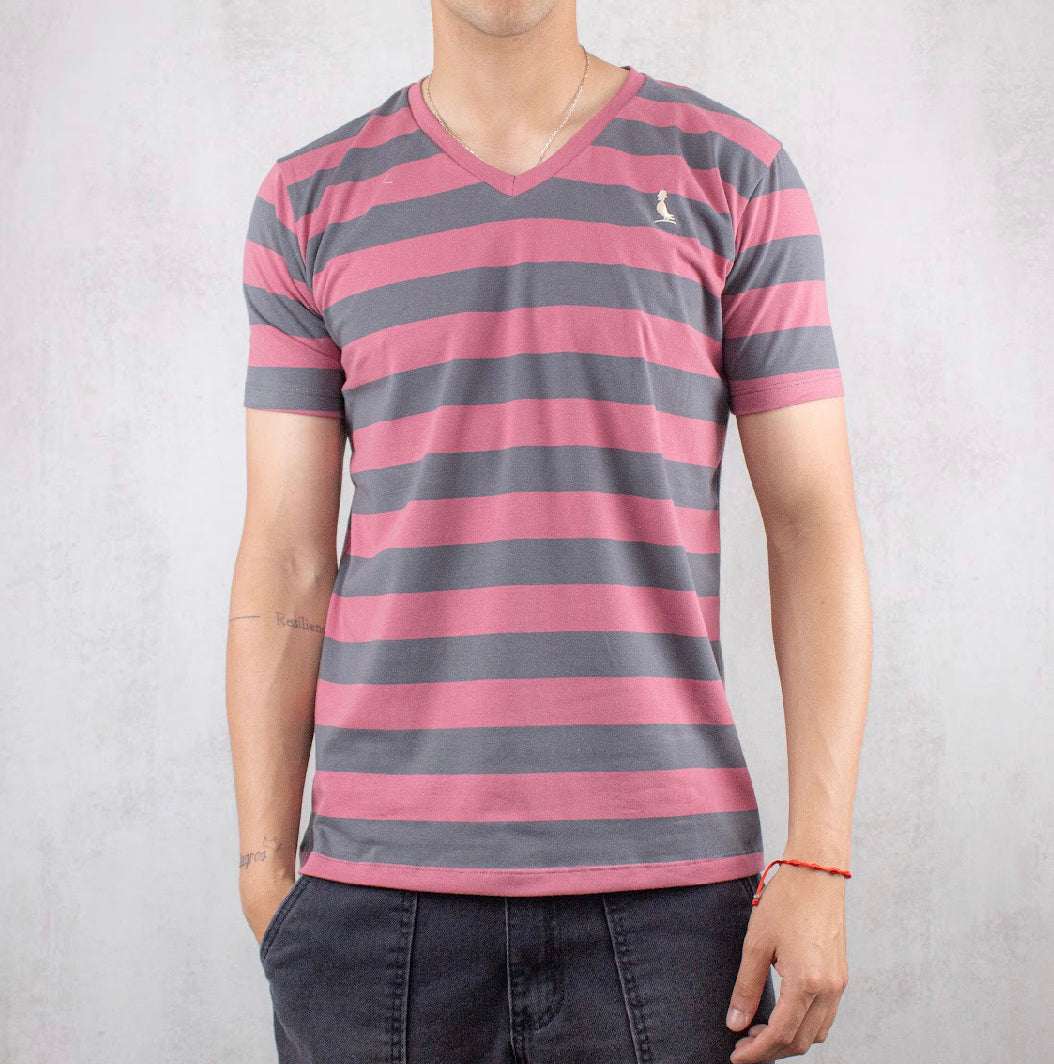 REMERA A RAYAS CUELLO V.