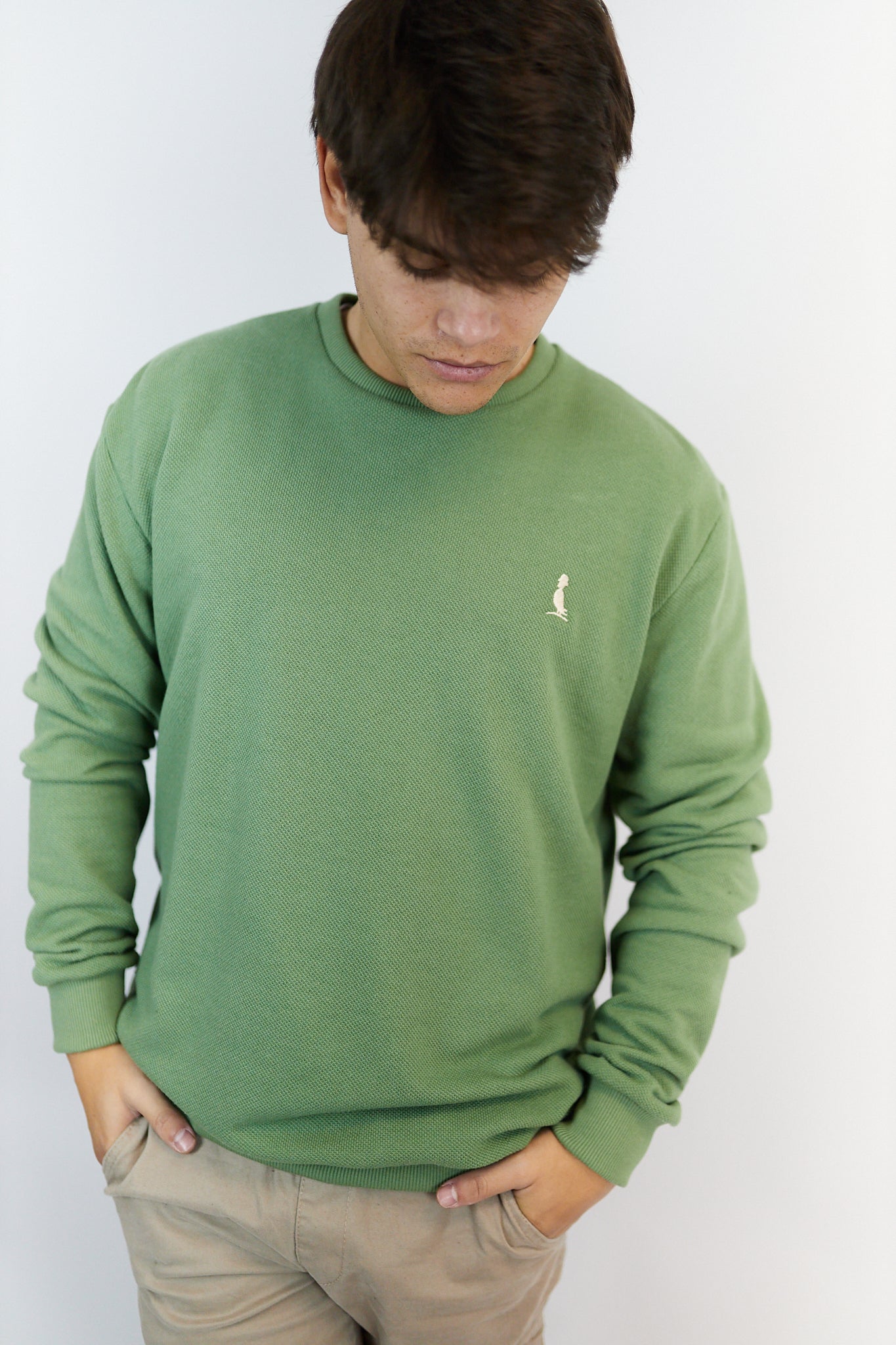 BUZO DE PUNTO COLOR VERDE SS’2024
