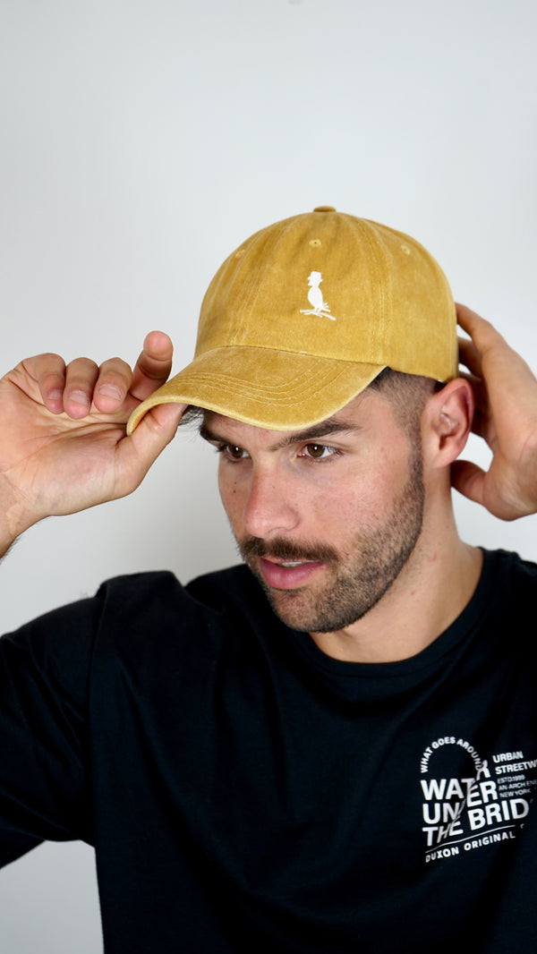 GORROS
