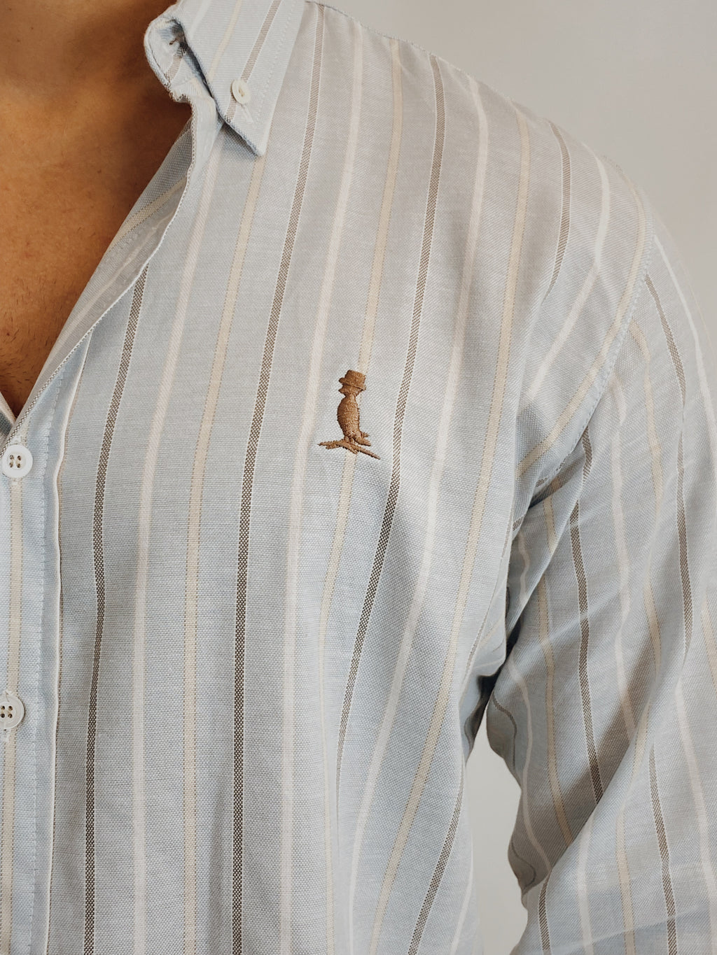 CAMISAS
