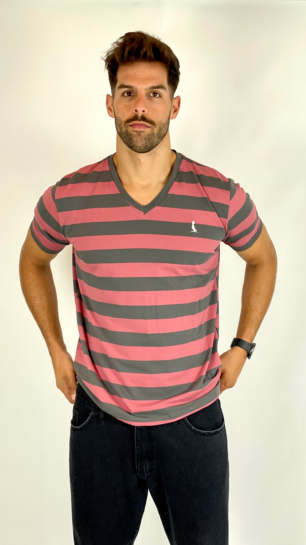 Remera manga corta a RAYAS