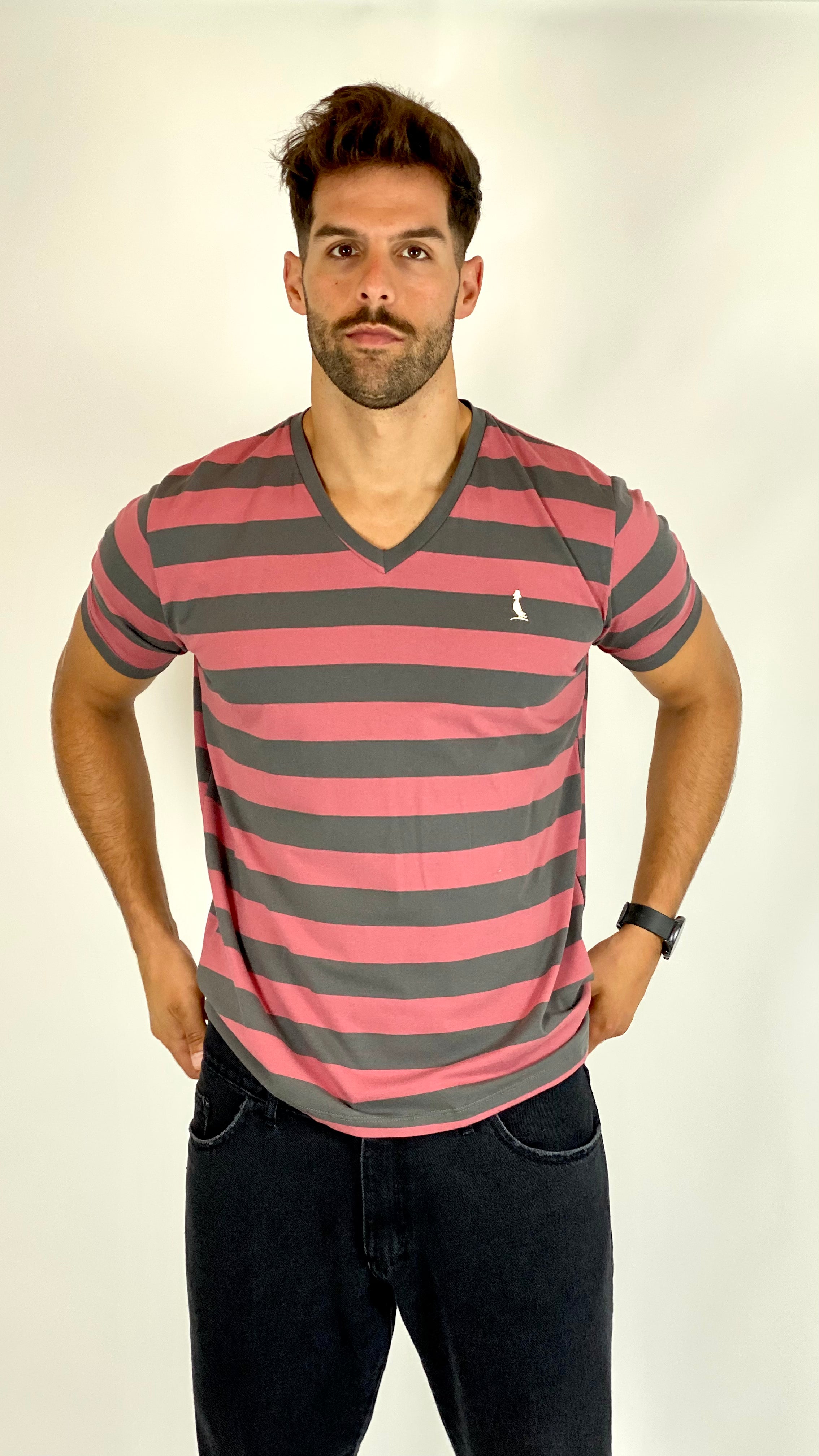 Remera manga corta a RAYAS