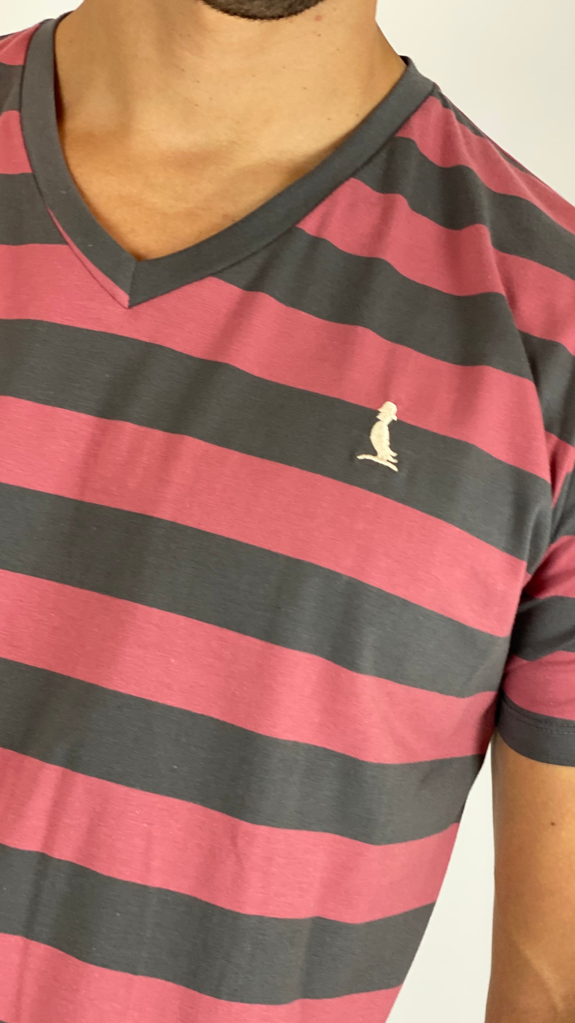 Remera manga corta a RAYAS