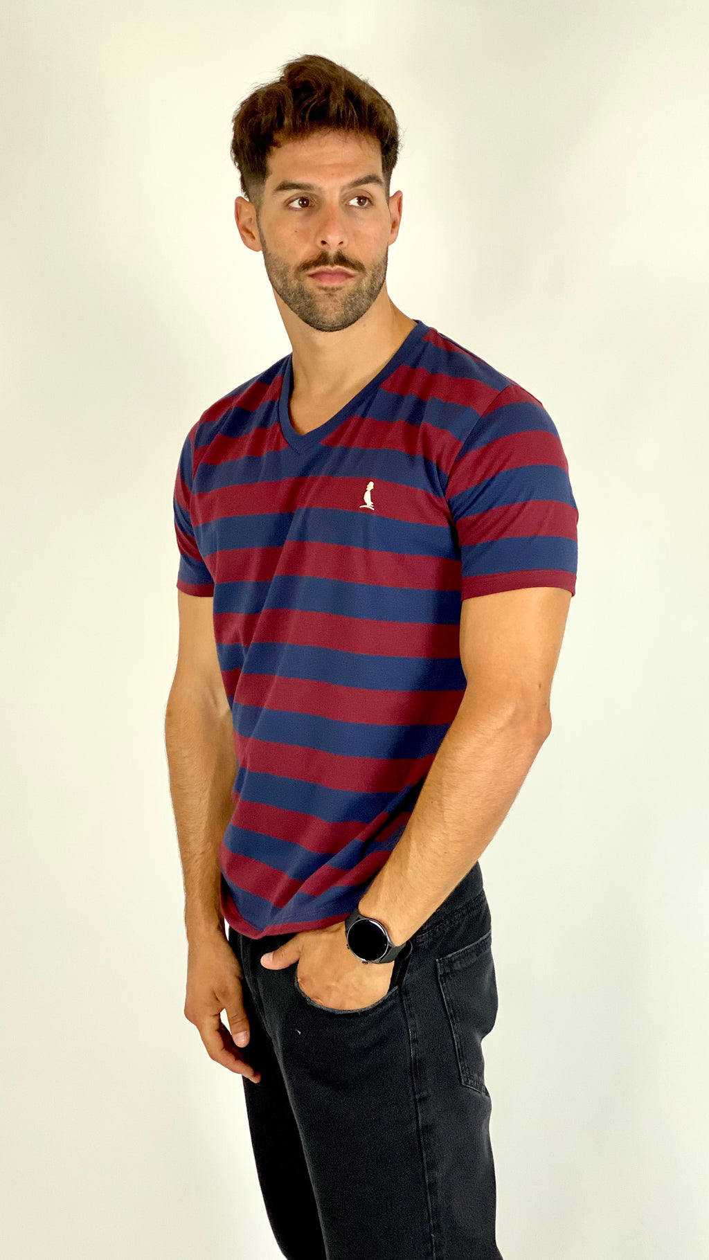 Remera a Rayas