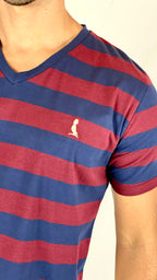 Remera a Rayas