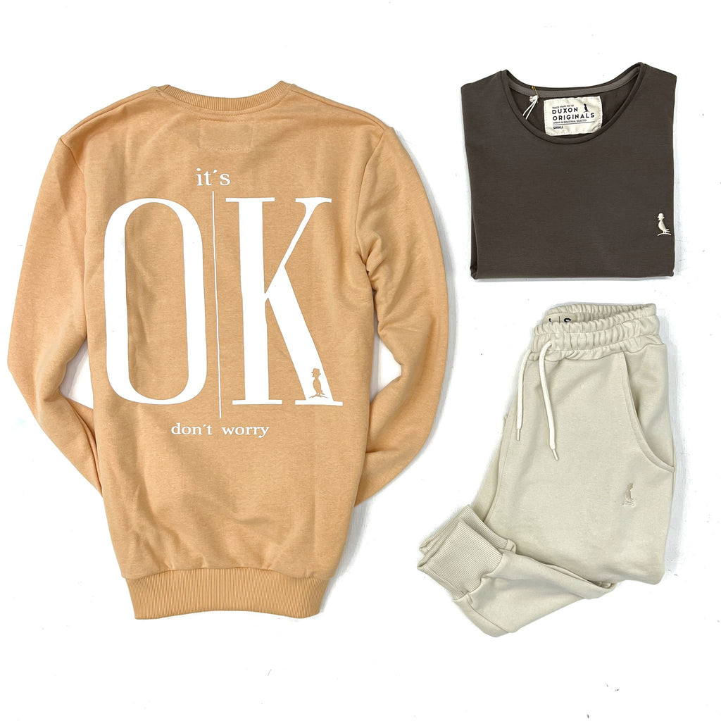 FLASH SALE 🔥🔥BUZO ITS OK NARANJA