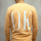 FLASH SALE 🔥🔥BUZO ITS OK NARANJA
